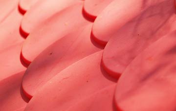 Brampford Speke plastic roof costs